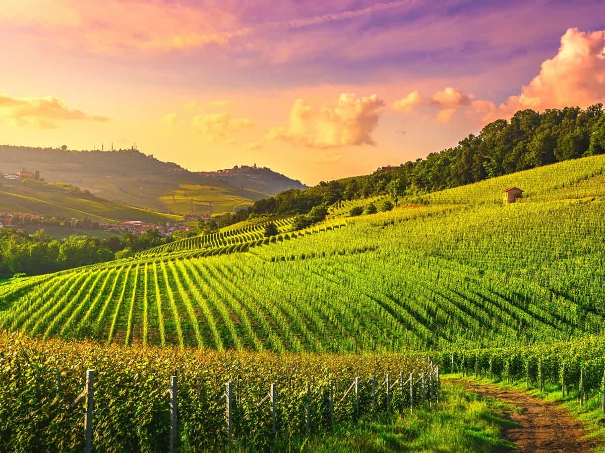 Langhe: alla scoperta di un posto da sogno e delle altre bellezze patrimonio dell’UNESCO