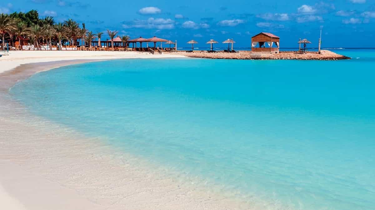 Le mete e le formule da scegliere per il nostro viaggio per single