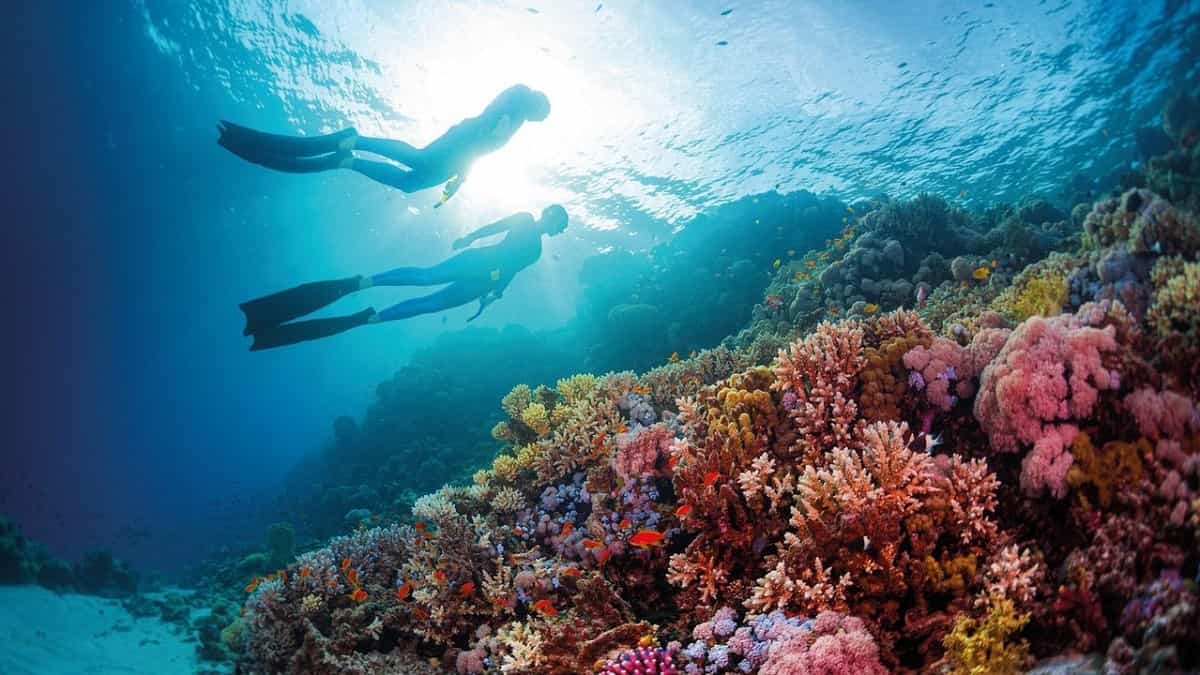 Viaggio all'estero per single a Marsa Alam meravigliosa località balneare del Mar Rosso