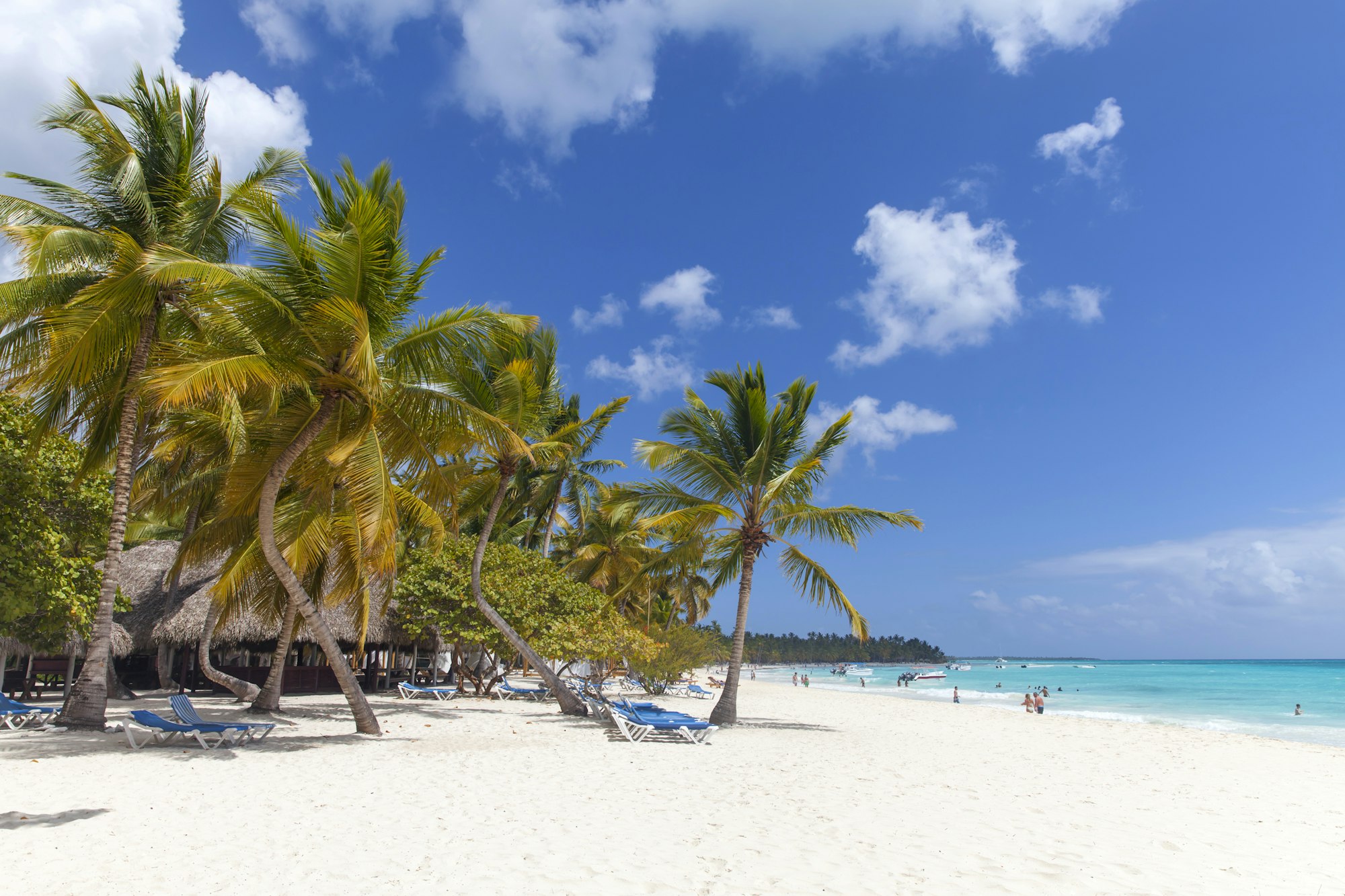 Caribbean paradise, beach front with palm trees. Dominican Republic.
