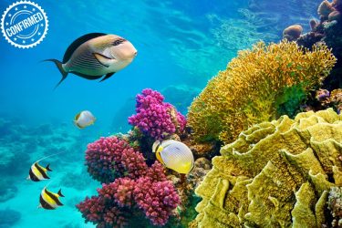 SHARM CONFERMATO