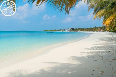 marsa matrouh confermato