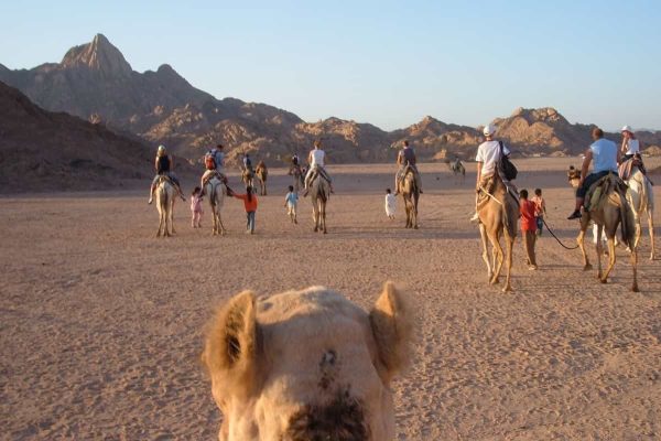 Sharm el Sheikh viaggi per single
