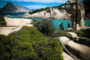 Settimana in Sardegna a Cala Ginepro per single
