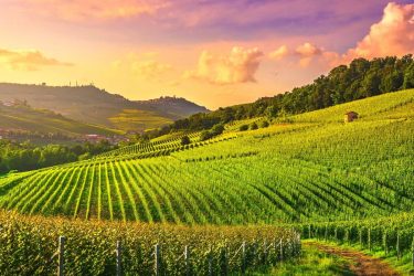 Langhe: alla scoperta di un posto da sogno e delle altre bellezze patrimonio dell’UNESCO