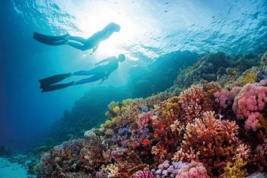 Viaggio all'estero per single a Marsa Alam meravigliosa località balneare del Mar Rosso